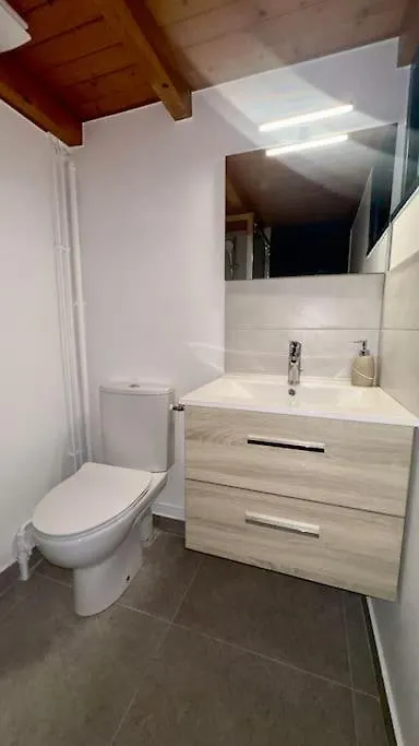 Lyon 3 - T1 Soignat - Hostisy Appartement